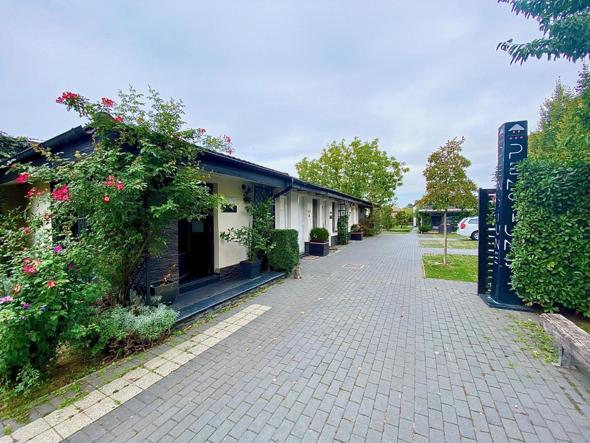 Pensiunea Damir Arad Exteriör bild